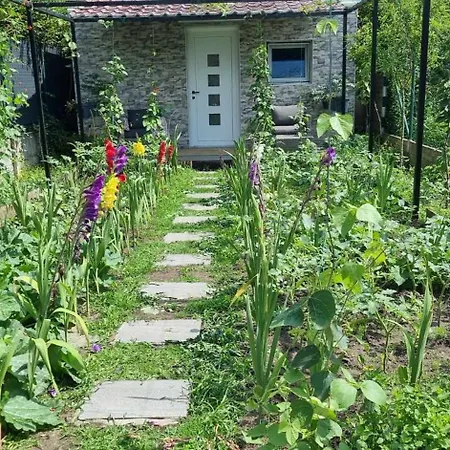 Chalet Alex Gand